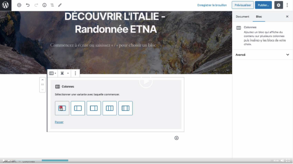 wordpress-2